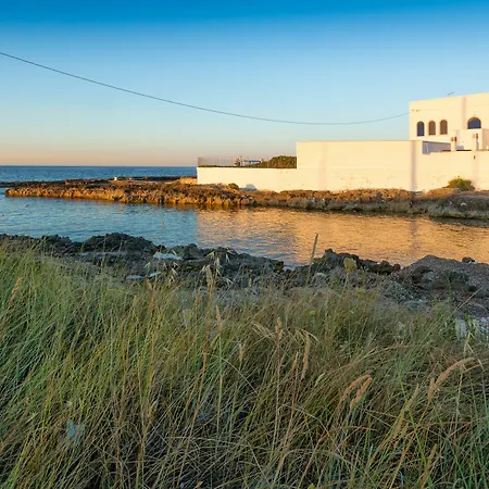Alma Villa